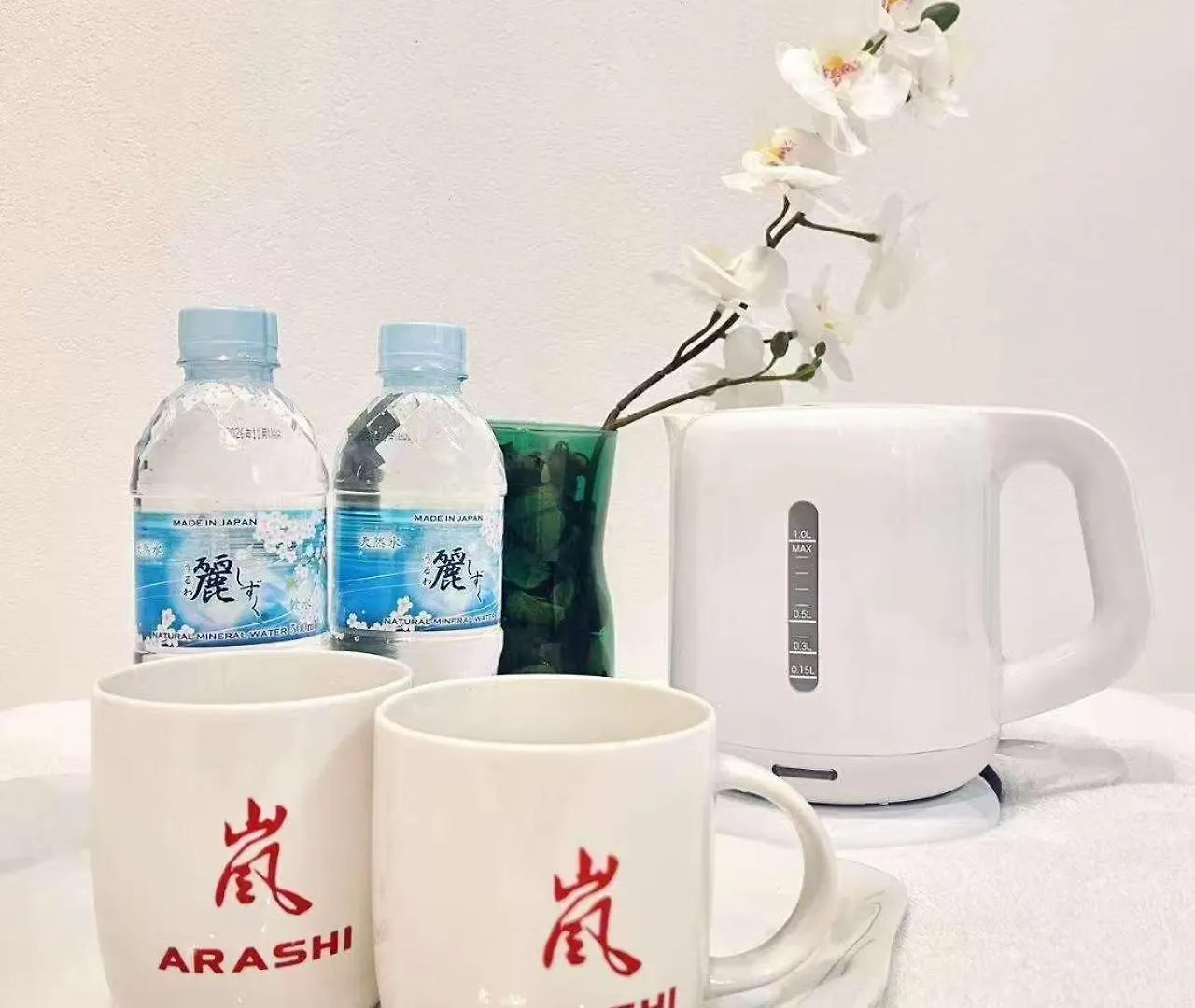 嵐 Hotel Arashi 難波店 Namba 오사카